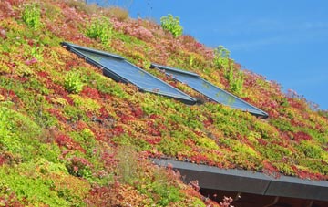 Altrincham living roof systems